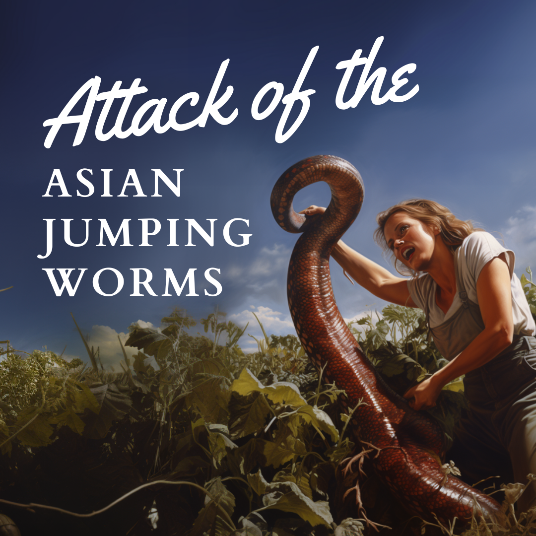 Asian Jumping Worms: Uninvited Guests