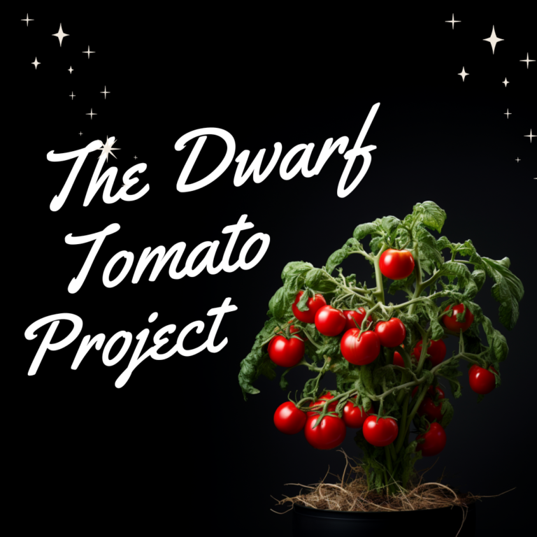 The Dwarf Tomato Project