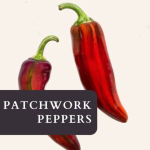 Row 7 Patchwork Pepper: A tapestry Of flavor and color