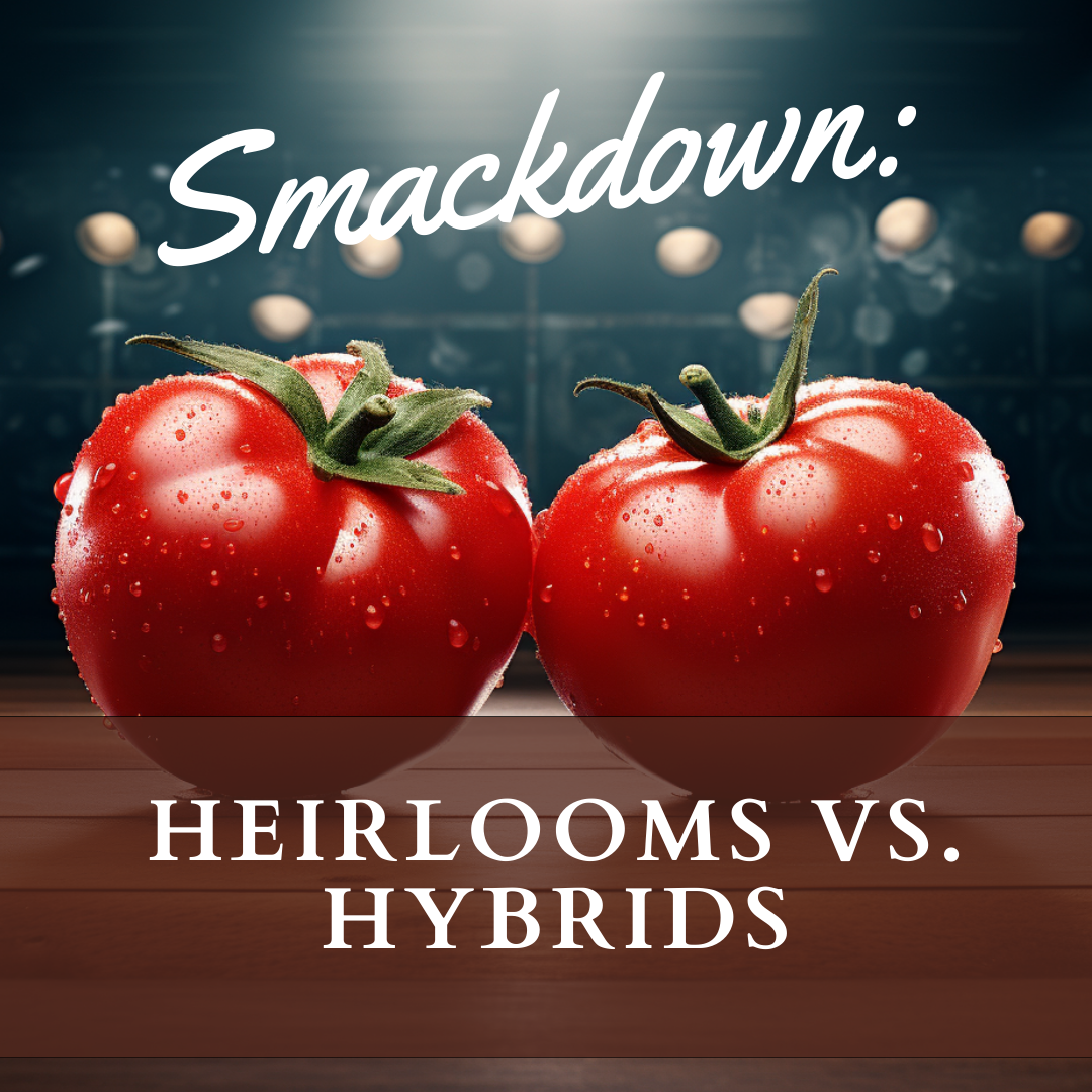 F1 vs Heirloom: The Veggie Smackdown