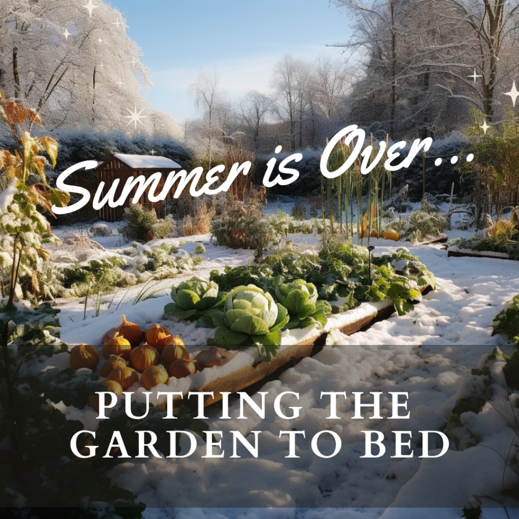 Best Way To Prepare Vegetable Garden For Winter